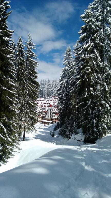 The Castle Complex - Apartment 401 Pamporovo Exterior photo