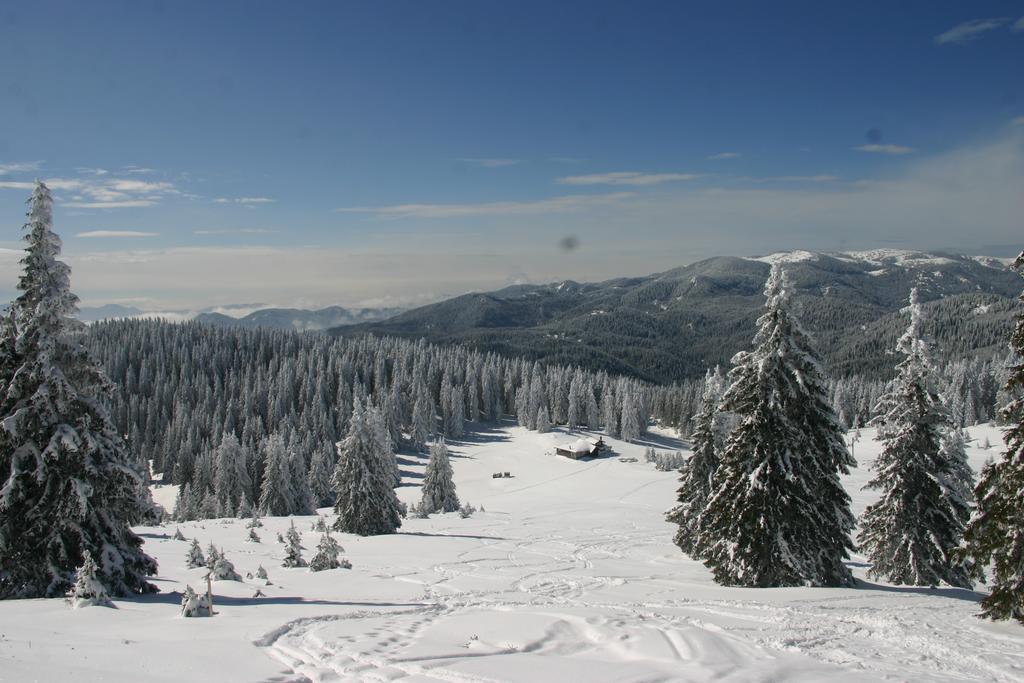 The Castle Complex - Apartment 401 Pamporovo Room photo