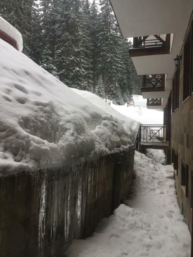 The Castle Complex - Apartment 401 Pamporovo Exterior photo